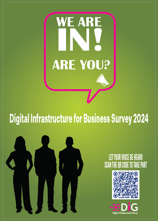 Business Survey 2024 Digital Infrastructure Group